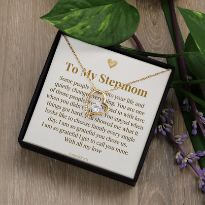 Stepmom Gift Necklace Some People Quietly Change Everything Bonus Mom